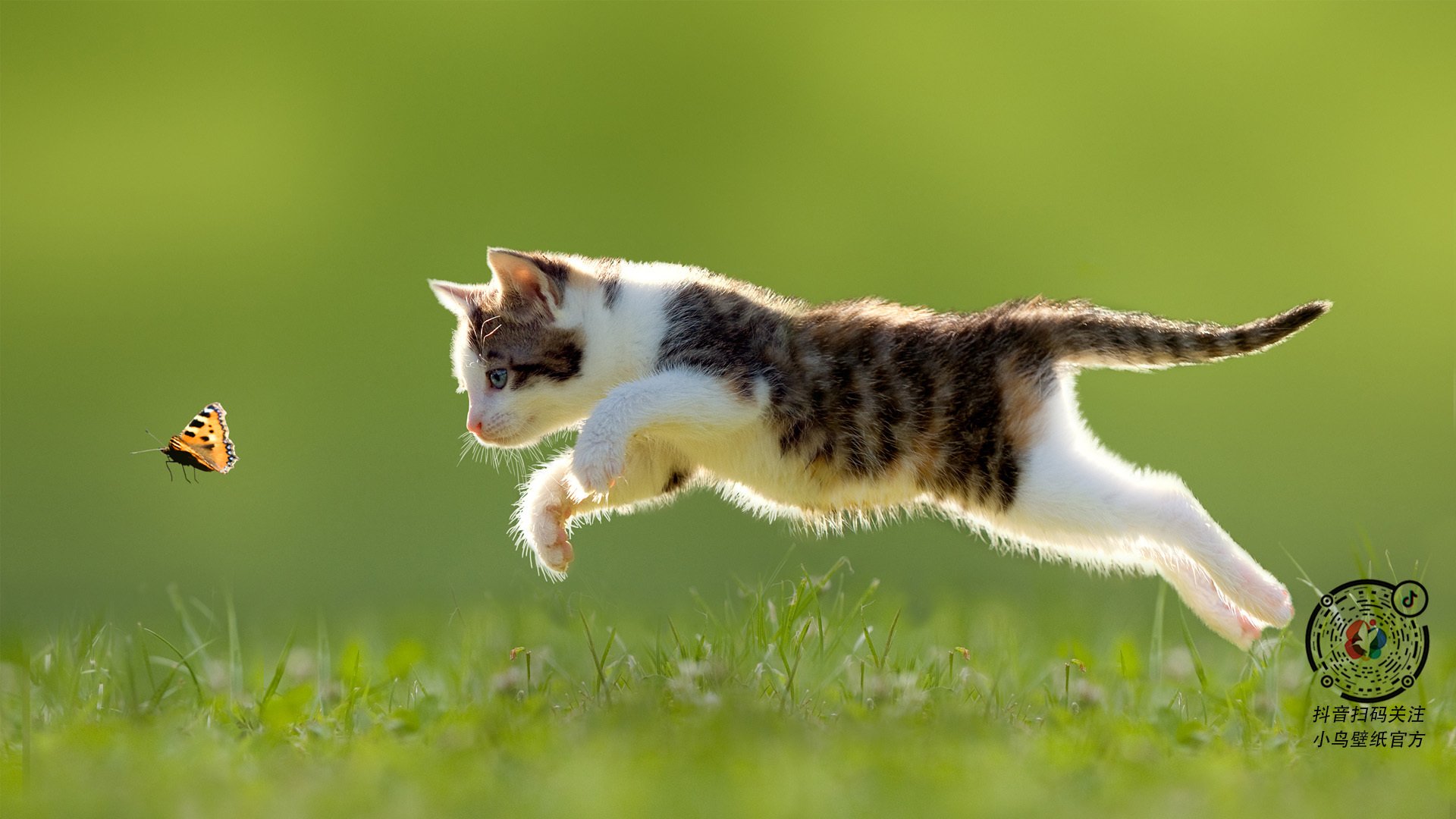 开云体育官方入口-“天才”车手：分析比赛中获胜的关键技巧，赛车手的车技