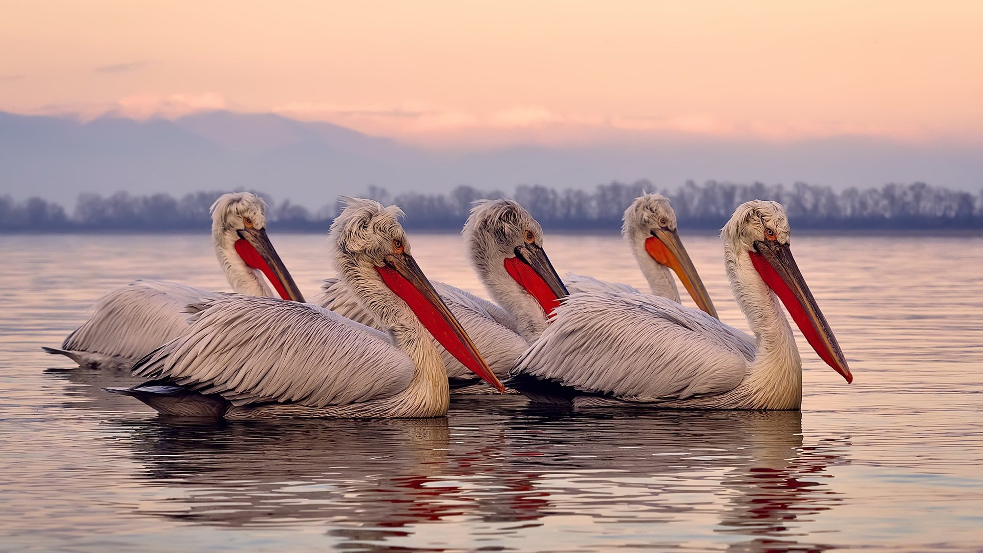 开云体育官方网站-数字化青少年篮球赛事平台实现全国联网，提升精准对接能力，2021青少年篮球比赛